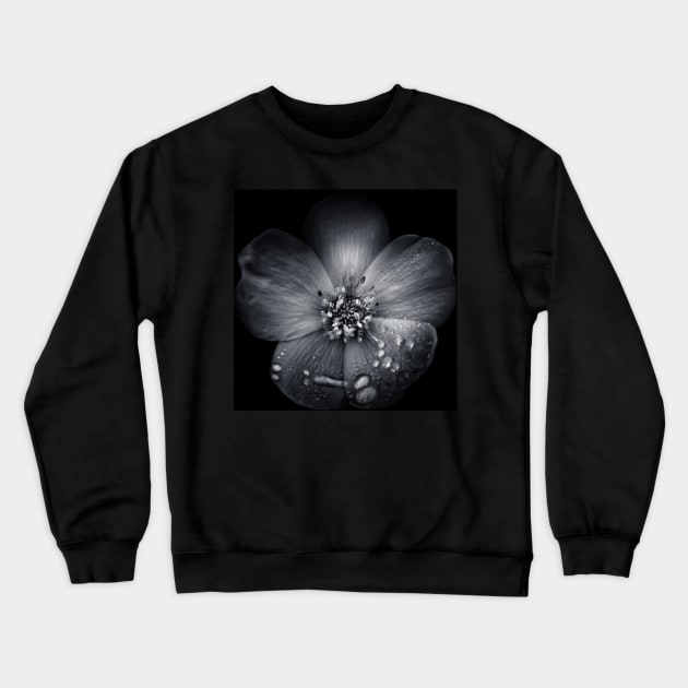 Backyard Flowers In Black And White 30 Crewneck Sweatshirt by learningcurveca